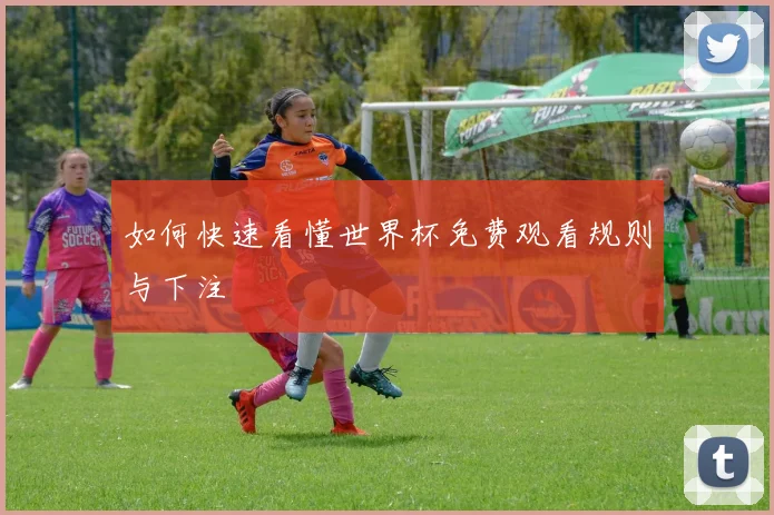 如何快速看懂世界杯免费观看规则与下注